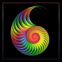 Пазл: Ракушка