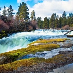 Пазл: Просто красота