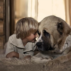 Пазл: Верный друг