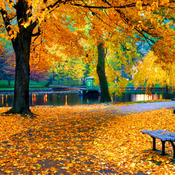 Пазл: Осенний парк