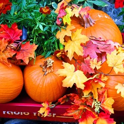 Пазл: Урожай