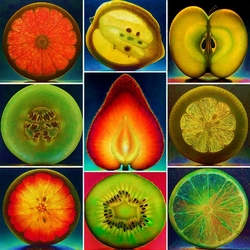 Пазл: Дольки