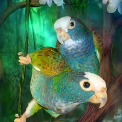 Пазл: Тропики