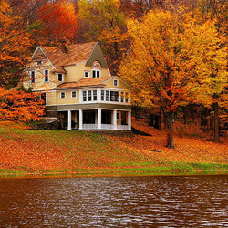 Пазл: Золотая осень