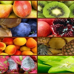 Пазл: Фруктовый коллаж