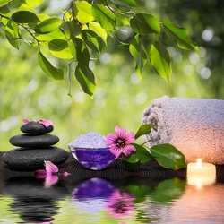Пазл: Природное спа