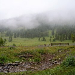 Пазл: Туман