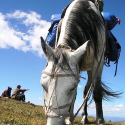 Пазл: Привал 