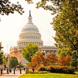 Пазл: Осенний Капитолий