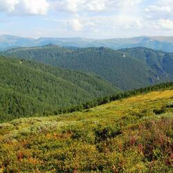 Пазл: Алтай