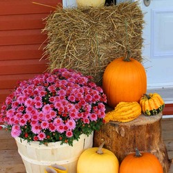 Пазл: Осень у дверей