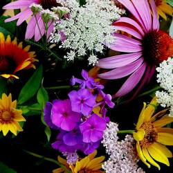 Пазл: Пестрый букет