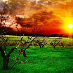 Пазл: Пейзаж