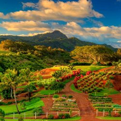 Пазл: На Гавайских островах