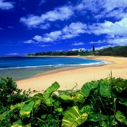 Пазл: Пляж Хаена