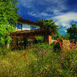 Пазл: Спряталась