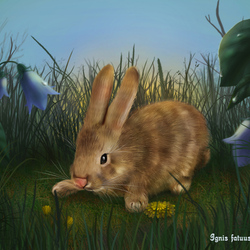 Пазл: Кролик