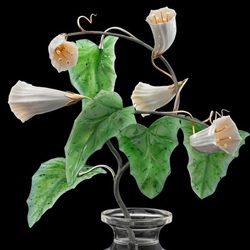 Пазл: Вьюнок 