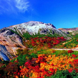 Пазл: Яркие краски природы