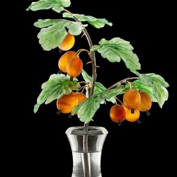 Пазл: Ветка крыжовника