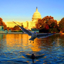 Пазл: Осень в Вашингтоне