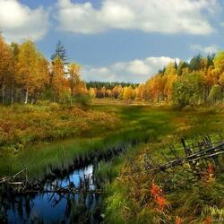 Пазл: Осенний пейзаж