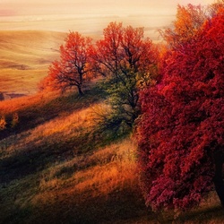 Пазл: Гора Чатир-тау на закате дня