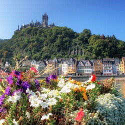 Пазл: Кохем