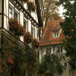 Пазл: Город Бад-Вимпфен