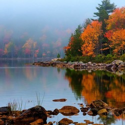 Пазл: Осенний день