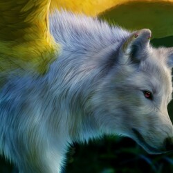 Пазл: Симуран