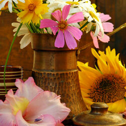 Пазл: Ранное утро