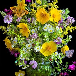 Пазл: Полевые цветы