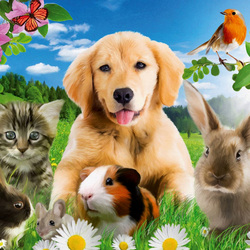 Пазл: Пушистые друзья