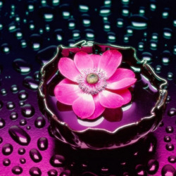 Пазл: Цветок