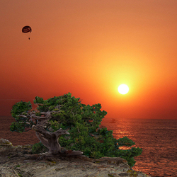 Пазл: Сиянье солнца золотого