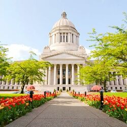 Пазл: Город Олимпия