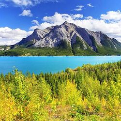 Пазл: Природа Северной Америки