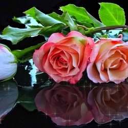 Пазл: Королева цветов