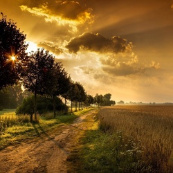 Пазл: В поле