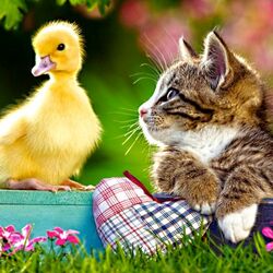 Пазл: Маленькие друзья