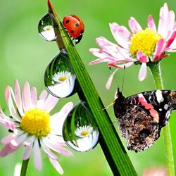 Пазл: Встреча