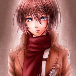 Пазл: Микаса