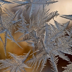 Пазл: Узоры на стекле