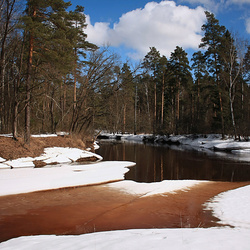 Пазл: Апрель