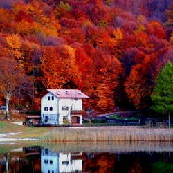 Пазл: Домик у озера