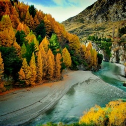 Пазл: Осень в Отаго