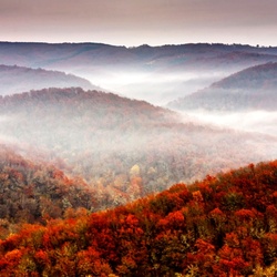 Пазл: Туман над горами 