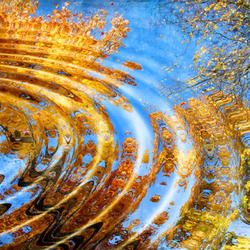 Пазл: Отражения осени