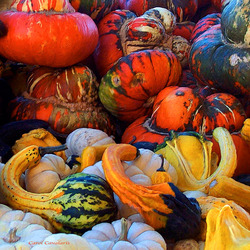 Пазл: Осенний урожай